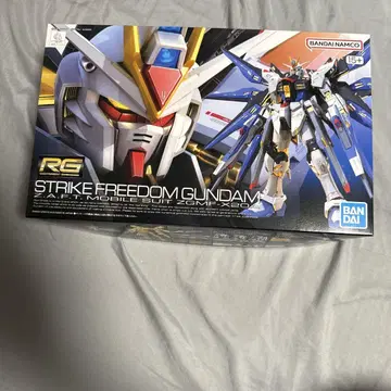 RG 1/144 스트라이크 프리덤 건담