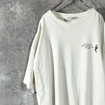 patagonia 반팔 티셔츠 화이트 올빼미 오가닉 코튼