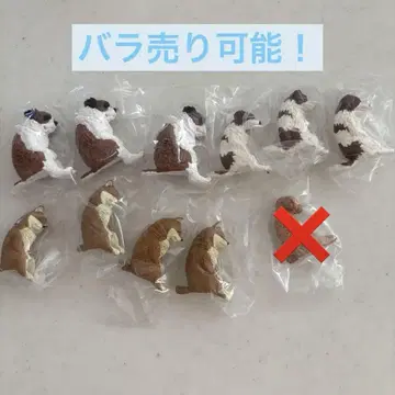 함께 자는 강아지 가챠가챠