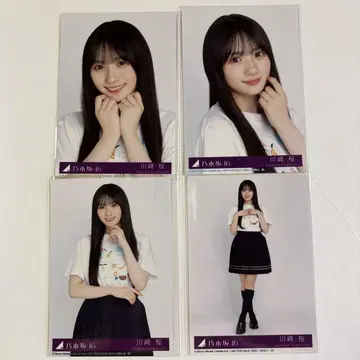 노기자카46 브로마이드 Same numbers 카와사키 사쿠라 4종 컴프
