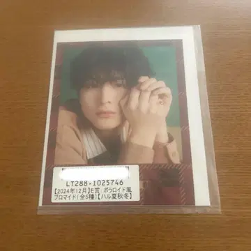 초특급 카시와기 유 E상 키라리