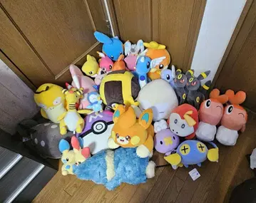 포켓몬 봉제 인형 모음