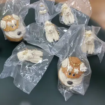 메종테리아 가챠