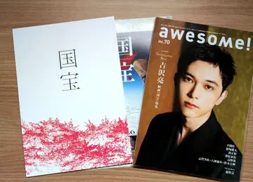 영화 국보 팜플렛 awesome! Vol.70 요시자와 료 요코하마 유성
