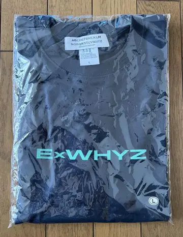 ExWHYZ 로고 T셔츠 Lsize
