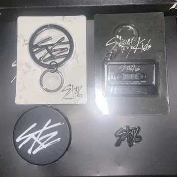 Stray Kids 팬클럽 키링 핀 배지