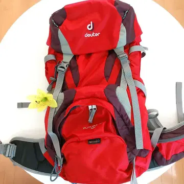 도이터 deuter 퓨투라 30 SL 백팩