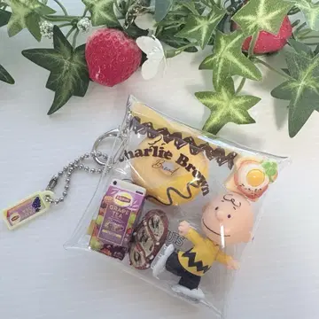 가챠 파우치 찰리 브라운