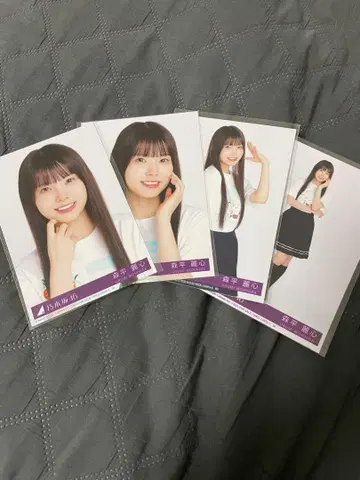 모리히라 레이신