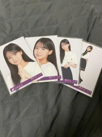 세토구치 미즈키
