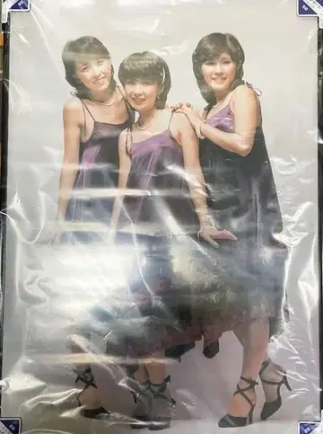 [ 레어 새상품급 ] 캔디즈 B2 포스터