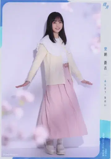 2024.4 # 컬렉션 봄_3 안노 아오이 꽃놀이 히키