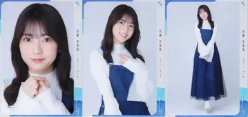 2024.4 # 컬렉션 봄_4 미야코시 유리아 튤 컴프