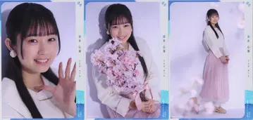 2024.4# 컬렉션 봄_3 스나가 심해 꽃놀이 컴프