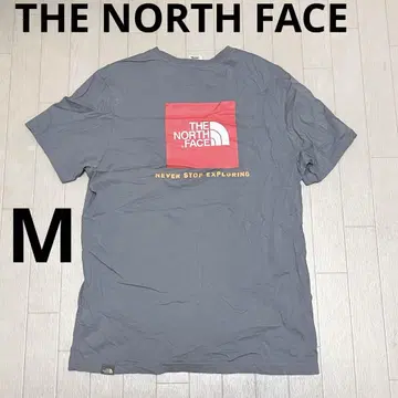 유160 1 THE NORTH FACE 프린트 티셔츠 블루 그레이