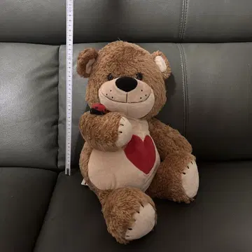 Suzy's Zoo 스 즈 부프 무당벌레와 함께