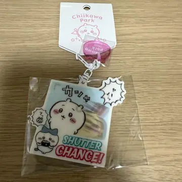치이카와 파크 테마 아크릴 키링 셔터 찬스