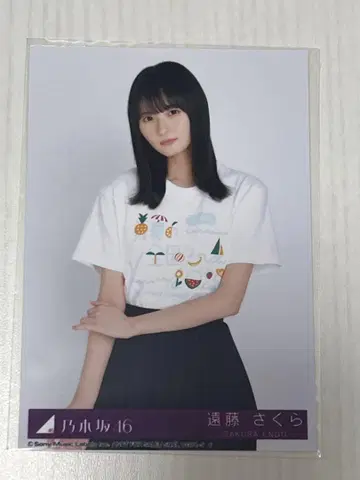 노기자카46 Same numbers 봉입 브로마이드 엔도 사쿠라