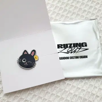 RIIZE 랜덤 커스텀 참 원빈 토냥덕