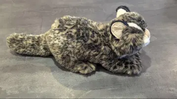 Iriomote Yamaneko 고양이 봉제 인형