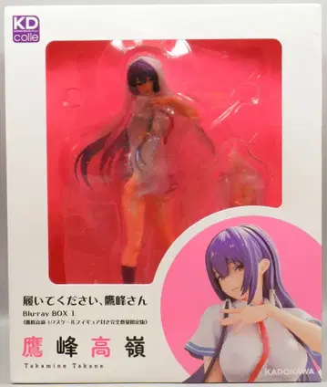 KADOKAWA 타카미네 타카네 PVC