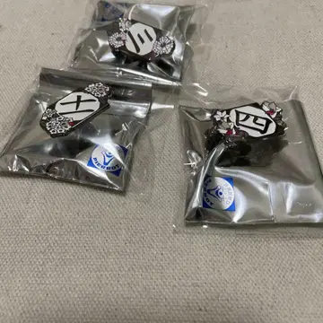 BLEACH 대 꽃 핀즈