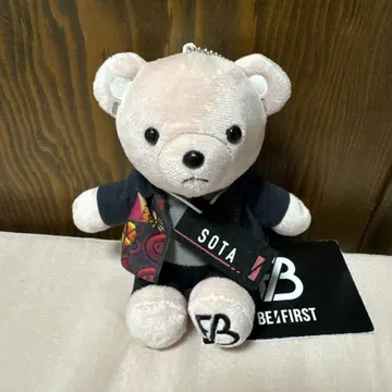 BE:FIRST SOTA 봉제 인형 약 20cm