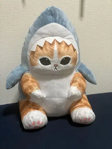 상어 고양이 봉제 인형 약 30cm