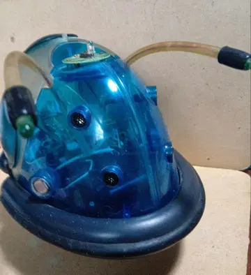 Real Robot
