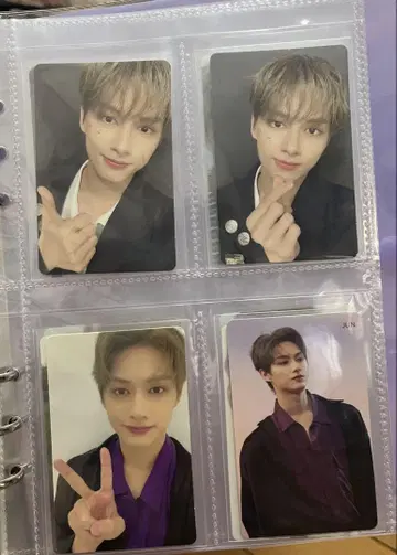 세부치 준 seventeen 흩날리는 꽃잎