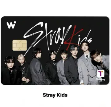 Stray Kids wowpass 와우패스 올 스키즈