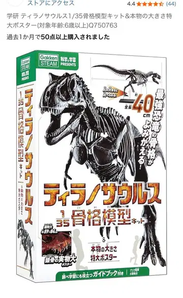 가쿠엔 티라노사우루스 1/35 골격 모형 정품 크기 특대형 포스터