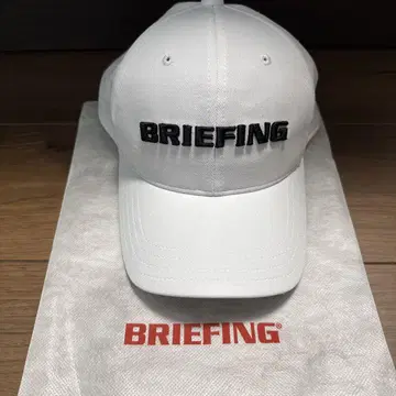 BRIEFING 화이트 캡
