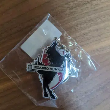 ROASSO KUMAMOTO 엠블럼 메탈 키링