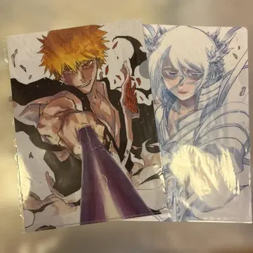 BLEACH 원화전 클리어 파일 이치고 루키아