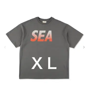 WIND AND SEA GRAY / XL 그레이 티셔츠