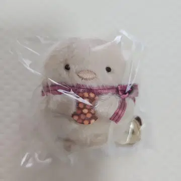 스미코구라시 돈가스 테노리 봉제 인형 찻집 스미코에서 초콜릿 페어