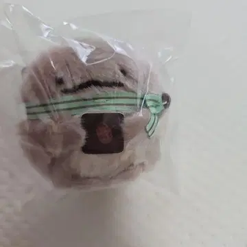 스미코구라시 토카게 테노리 봉제 인형 찻집 스미코에서 초콜릿 페어