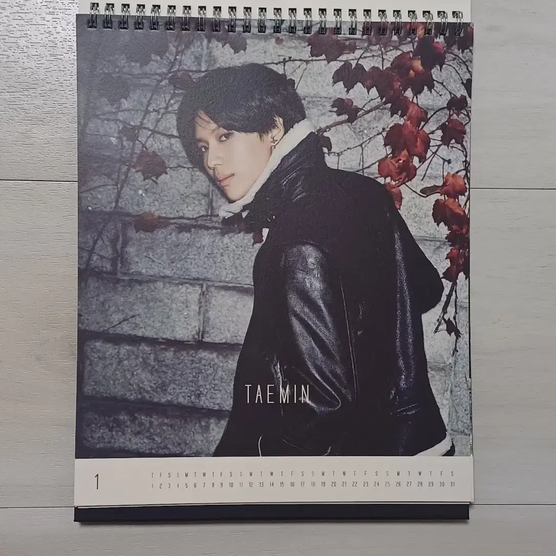 SHINEE | 샤이니 Shinee 2015 seasons greetings (no poca) on