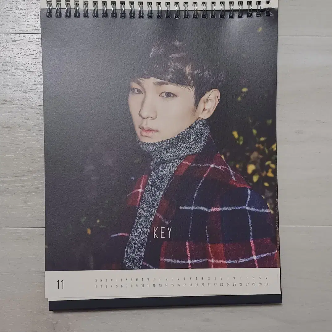 K-POP+アジア SHINee - SHINee 2015 SEASON&#39;S GREETINGS Shinee 2015 Season's GREETINGS Mini Calendar Official