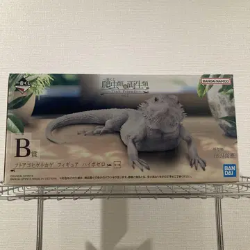 파충류&양서류 제일복권 vol.2 B상 턱수염도마뱀 하이포제로