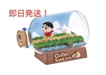 리멘트 크레용 신짱 테라리움 소란스러운 일상이다! 가자! 시로!