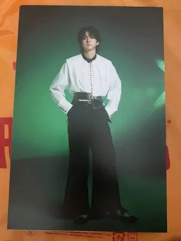 사와모토 나츠키 패널