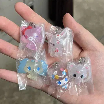 쥬얼펫 메지루시 액세서리 컴프 세트