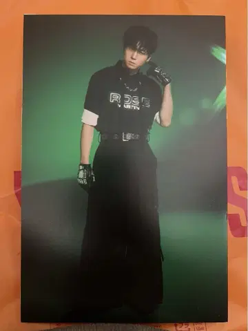 세구치 레이야 패널