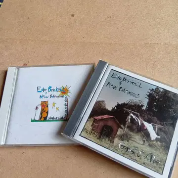 Edie Brickell & New Bohemians