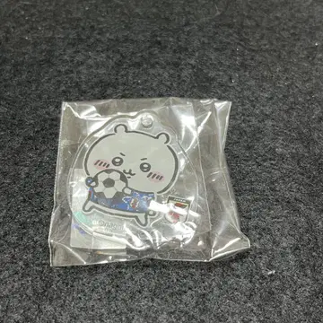 치이카와 일본 대표 아크릴 키링