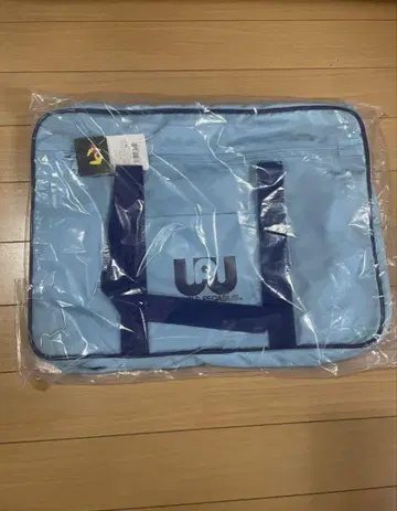 월드 페가수스 스쿨백 구형 스카이블루