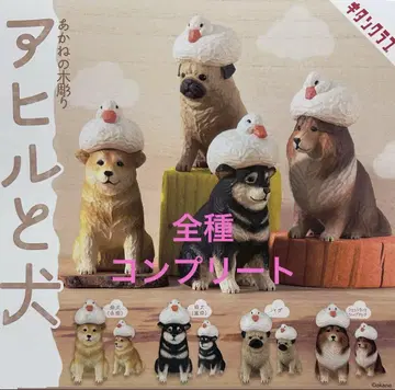 아카네의 나무 조각 오리와 개 풀 컴프 키탄 클럽