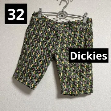 Dickies 디키즈 사이키델릭 숏팬츠 UM891E2